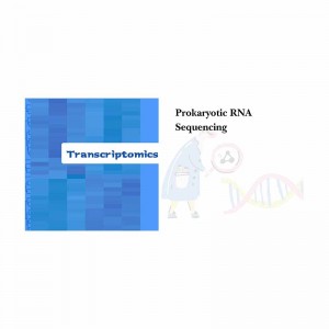 8 Year Exporter Ccs Sequencing Service -
 Prokaryotic RNA sequencing – Biomarker