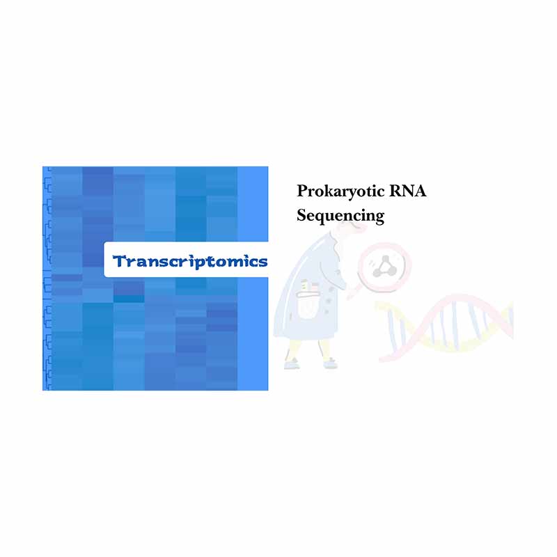 High Quality Animal Genomes -
 Prokaryotic RNA sequencing – Biomarker