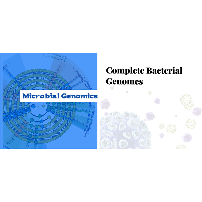 Factory Free sample Nanopore -
 Bacteria Complete Genome  – Biomarker