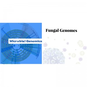 OEM Factory for 16s Rdna Sequencing Analysis -
 Fungal Genome – Biomarker