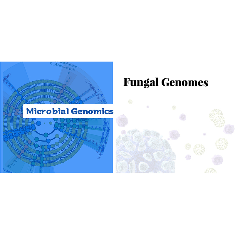 Factory making Strand-Specific Rna-Seq -
 Fungal Genome – Biomarker