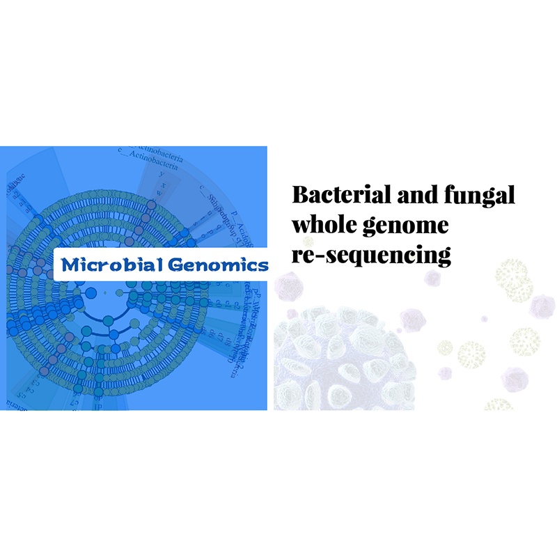 2021 High quality Transcriptome Profiling -
 Bacterial and Fungal Whole Genome Re-sequencing – Biomarker