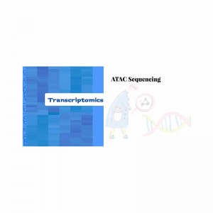 Low price for Rna Sequencing Nanopore -
 Assay for Transposase-Accessible Chromatin with High Throughput Sequencing (ATAC-seq) – Biomarker