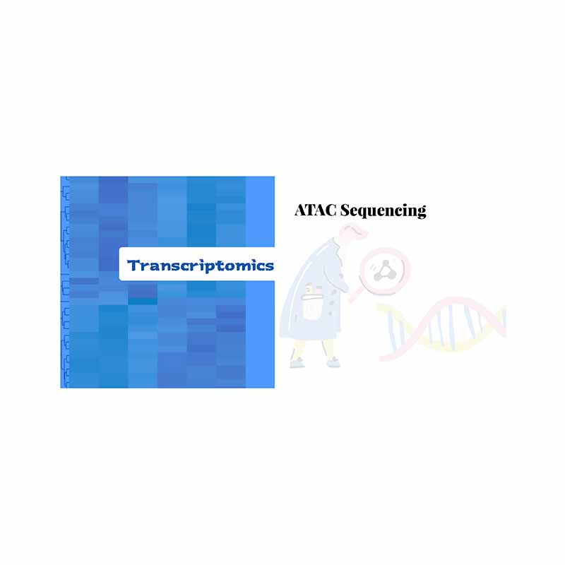 Factory Price Genome Resolved Metagenomics -
 Assay for Transposase-Accessible Chromatin with High Throughput Sequencing (ATAC-seq) – Biomarker