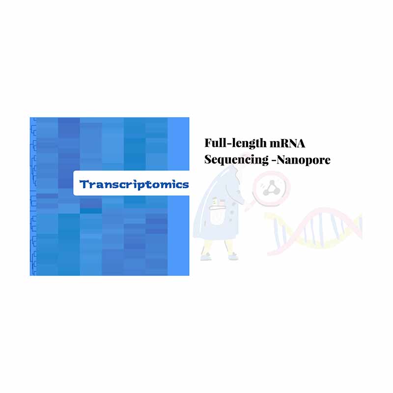 High Performance  Genome Annotation -
 Full-length mRNA sequencing-Nanopore – Biomarker
