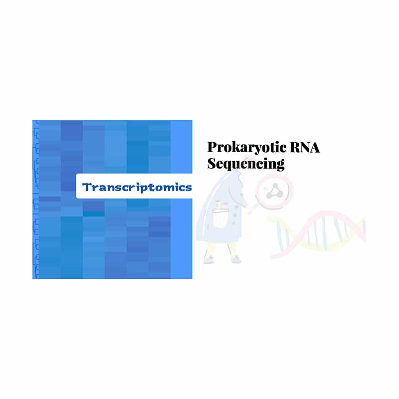 Excellent quality Sequence Analysis -
 Prokaryotic RNA sequencing – Biomarker