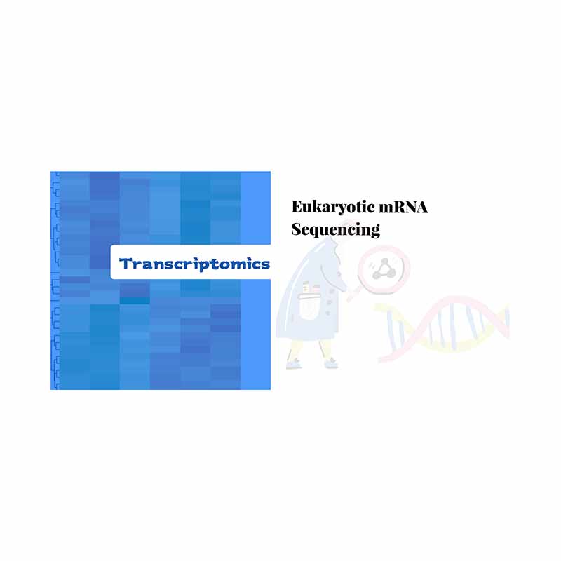 Super Lowest Price Reference Genome -
 Eukaryotic mRNA sequencing-Illumina – Biomarker