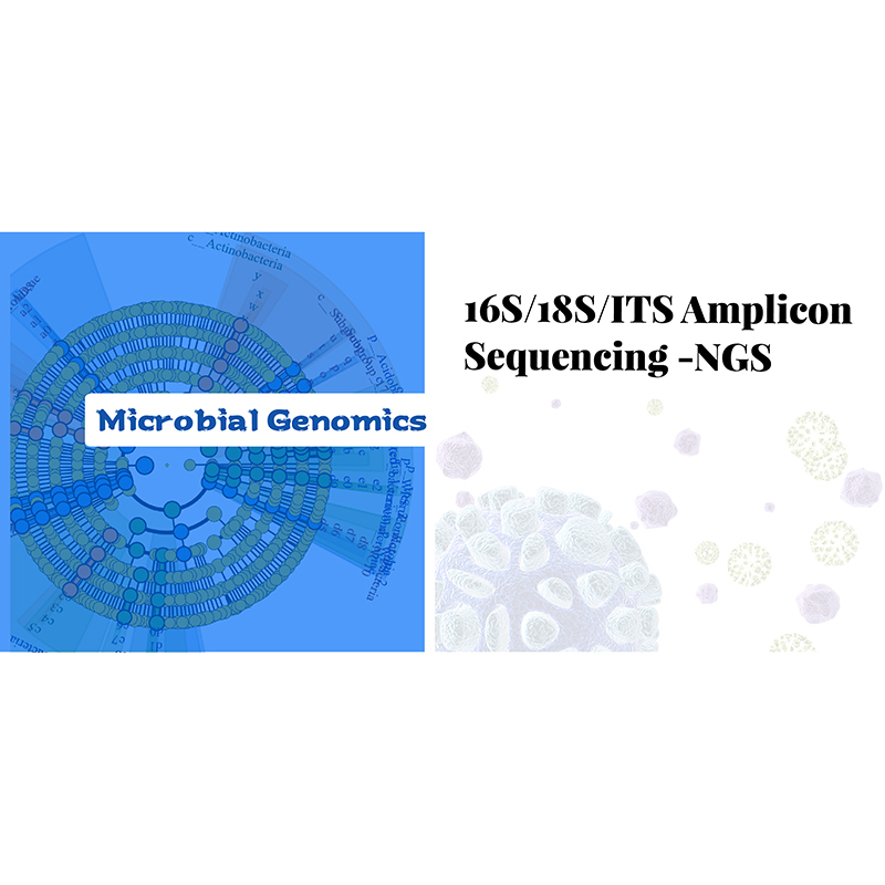 Massive Selection for Shotgun Metagenomics Sequencing -
 16S/18S/ITS Amplicon Sequencing-NGS – Biomarker