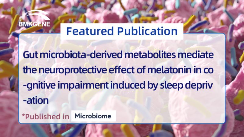 Featured Publication–Gut microbiota-derived metabolites mediate the #neuroprotective effect of melatonin in cognitive impairment induced by sleep deprivation