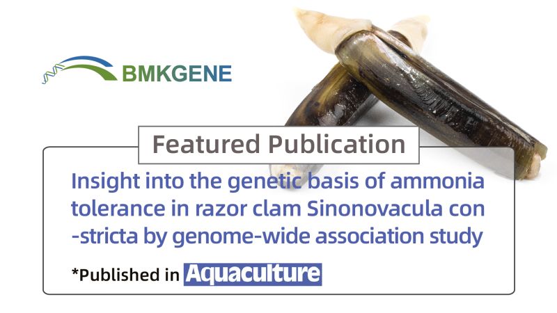 Featured Publication–Insight into the genetic basis of ammonia tolerance in razor clam Sinonovacula constricta by genome-wide association study