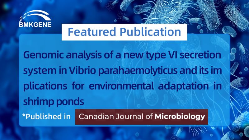 Featured Publication–Genomic analysis of a new type VI secretion system in Vibrio parahaemolyticus and its implications for environmental adaptation in shrimp ponds