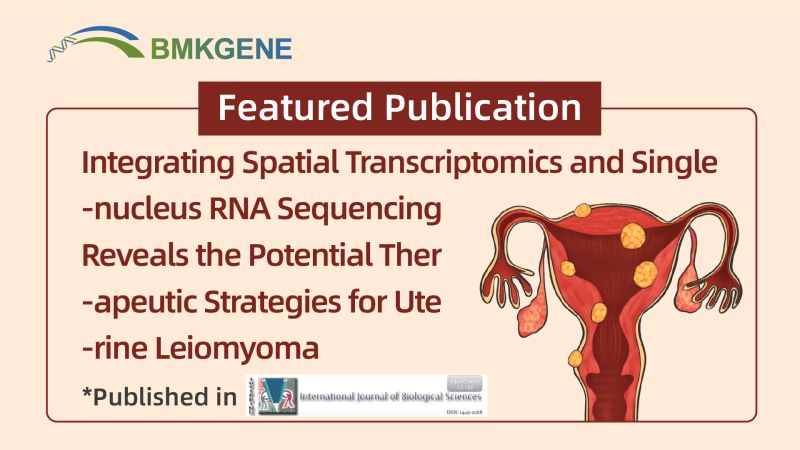 Featured Publication— Integrating Spatial Transcriptomics and Single-nucleus RNA Sequencing Reveals the Potential Therapeutic Strategies for Uterine Leiomyoma
