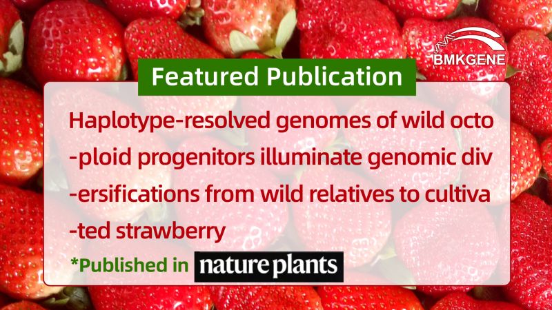 Featured Publication—Haplotype-resolved genomes of wild octoploid progenitors illuminate genomic diversifications from wild relatives to cultivated strawberry