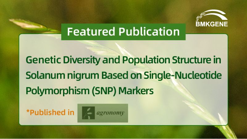 Featured Publication—Genetic Diversity and Population Structure in Solanum nigrum Based on Single-Nucleotide Polymorphism (SNP) Markers