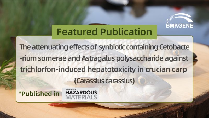 Featured Publication—The attenuating effects of synbiotic containing Cetobacterium somerae and Astragalus polysaccharide against trichlorfon-induced hepatotoxicity in crucian carp (Carassius carass...