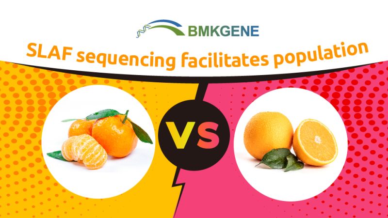 Featured Publication—Mining Genes Related to Fruit Quality in Sweet Oranges Based on Specific Locus Amplified Fragment Sequencing