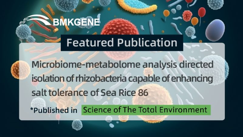 Featured Publication—Microbiome-metabolome analysis directed isolation of rhizobacteria capable of enhancing salt tolerance of Sea Rice 86