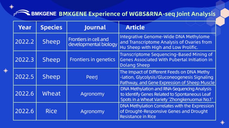 BMKGENE Experience of WGBS&RNA-seq Joint Analysis