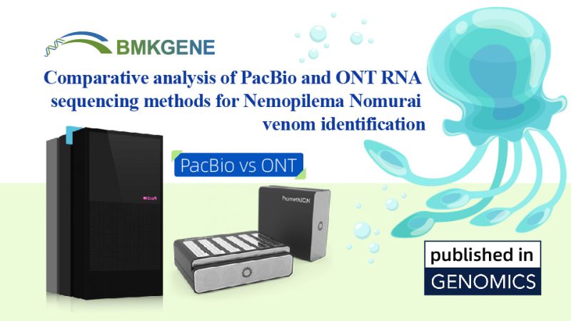 Featured Publication—Comparative analysis of PacBio and ONT RNA sequencing methods for Nemopilema Nomurai venom identification