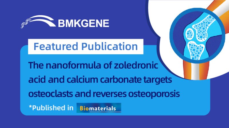 Featured Publication—The nanoformula of zoledronic acid and calcium carbonate targets osteoclasts and reverses osteoporosis