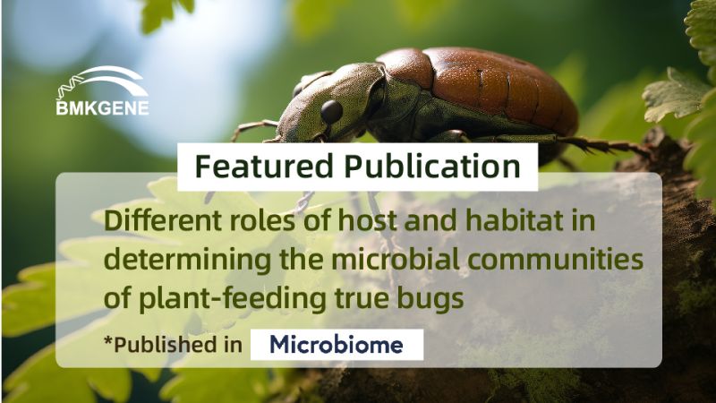 Featured Publication—Different roles of host and habitat in determining the microbial communities of plant-feeding true bugs