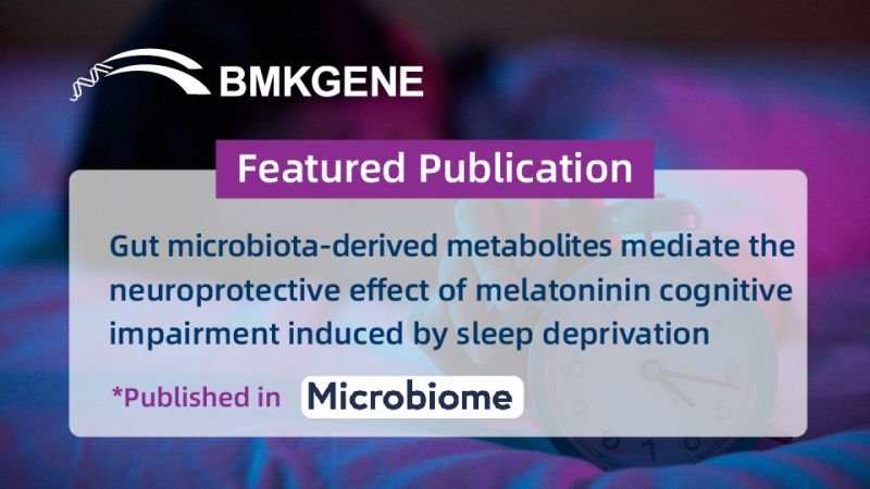Featured Publication—Gut microbiota-derived metabolites facilitate melatonin’s neuroprotective properties in sleep deprivation-induced cognitive impairment