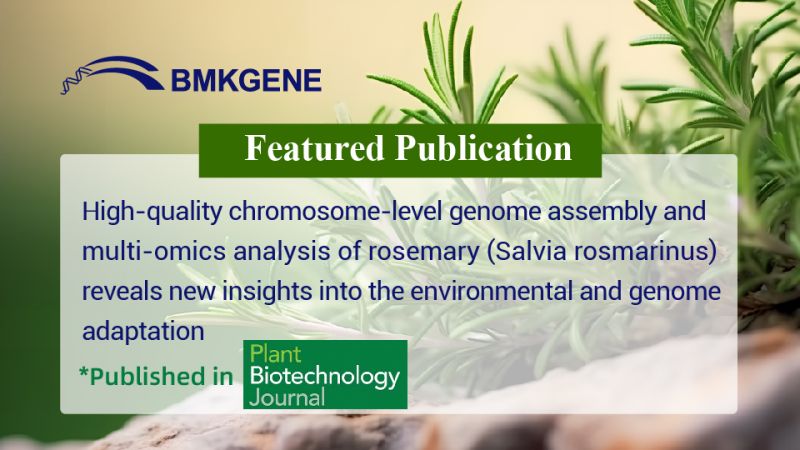Featured Publication-High-quality chromosome-level genome assembly and multi-omics analysis of rosemary (Salvia rosmarinus) reveals new insights into the environmental and genome adaptation