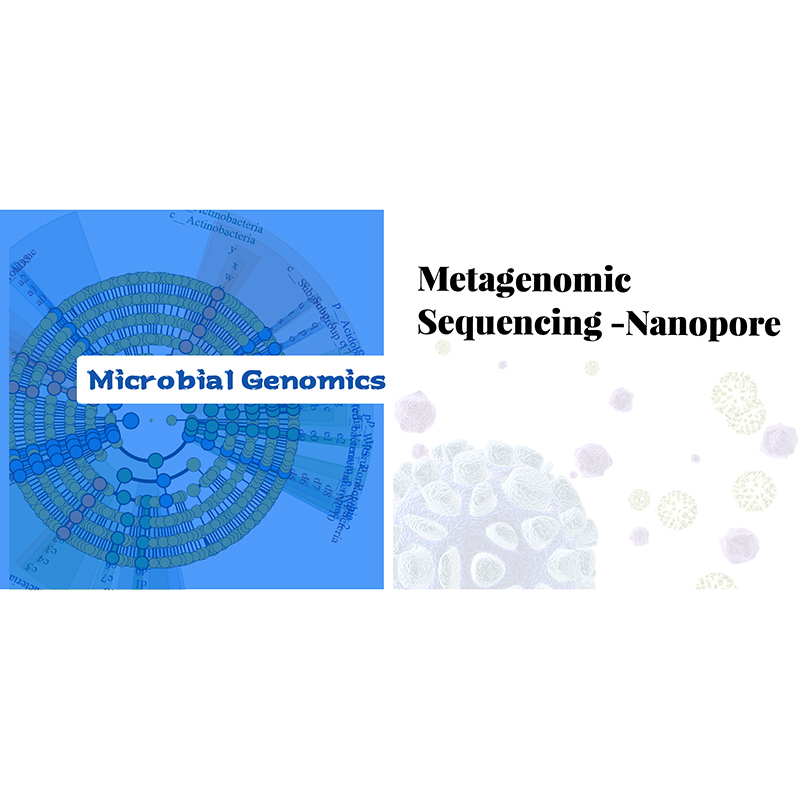 Quality Inspection for Function Annotation -
 Nanopore-based metagenome sequencing – Biomarker