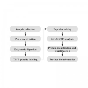 Wholesale Sequencing Strategy -
 Proteomics – Biomarker
