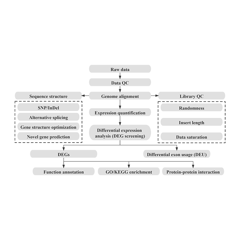 High Quality Mrna Analysis -
 Long non-coding sequencing – Illumina – Biomarker