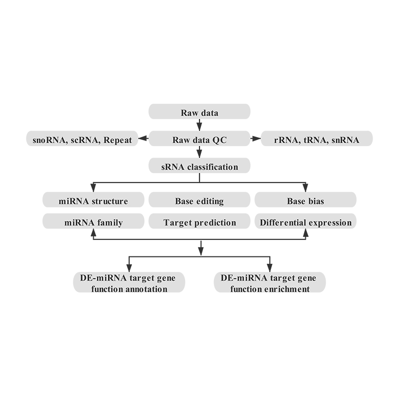 OEM/ODM China Whole Transcriptome Analysis -
 Small RNA sequencing – Illumina – Biomarker