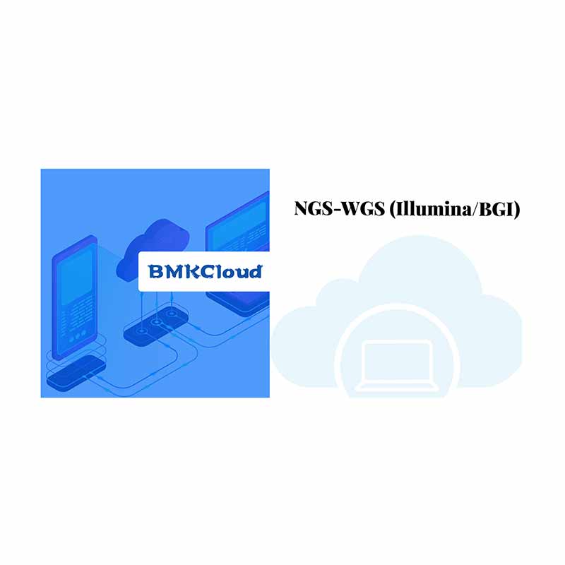 OEM/ODM Factory Pacbio Sequel Ii -
 NGS-WGS (Illumina/BGI) – Biomarker