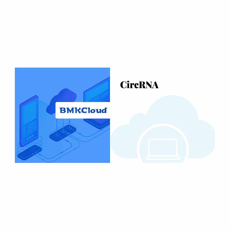 New Delivery for Mirna Sequencing Pricing -
 circ-RNA – Biomarker