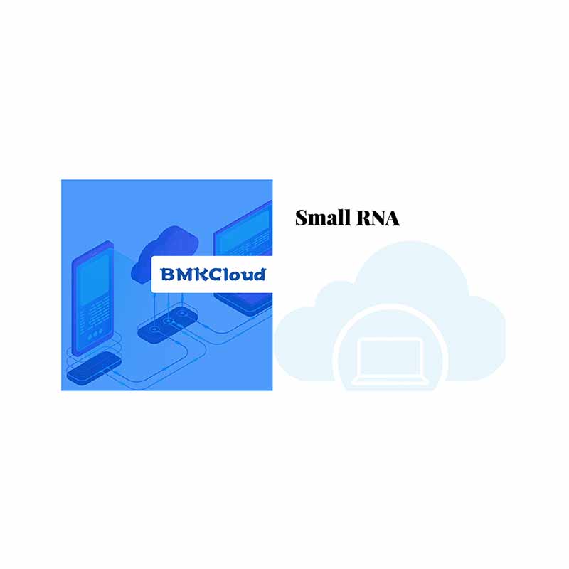 Best-Selling Bacterial Dna Sequencing -
 small RNA – Biomarker