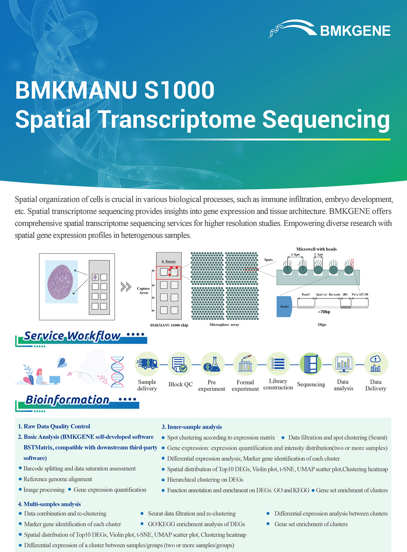 http://www.bmkgene.com/uploads/BMKMANU-S1000-Spatial-Transcriptome-Sequencing-BMKGENE-2310.pdf