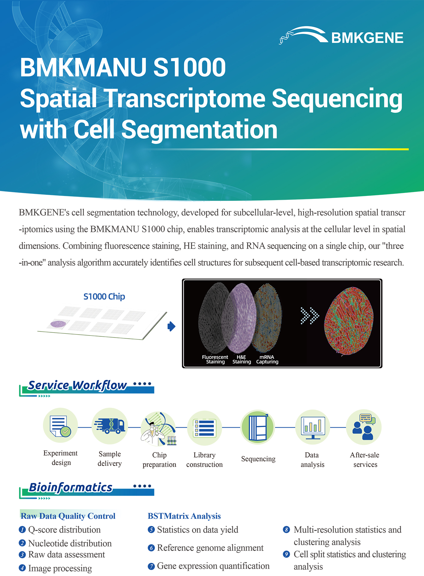 http://www.bmkgene.com/uploads/BMKMANU-S1000-Spatial-Transcriptome-Sequencing-with-Cell-Segmentation-BMKGENE-2311.pdf