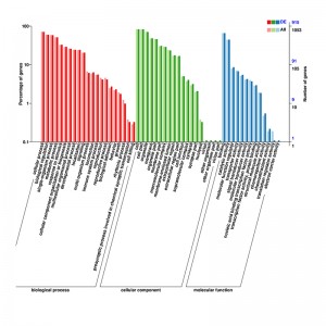 Top Quality Metabarcoding Cost -
 circRNA sequencing – Illumina – Biomarker