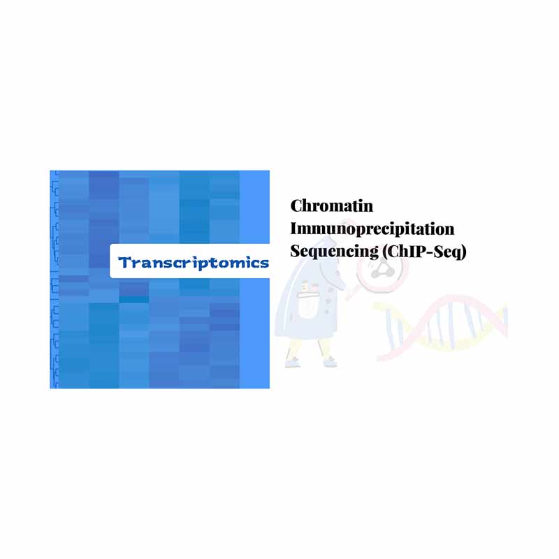 Reasonable price Lncrna Seq -
 Chromatin Immunoprecipitation Sequencing (ChIP-seq) – Biomarker