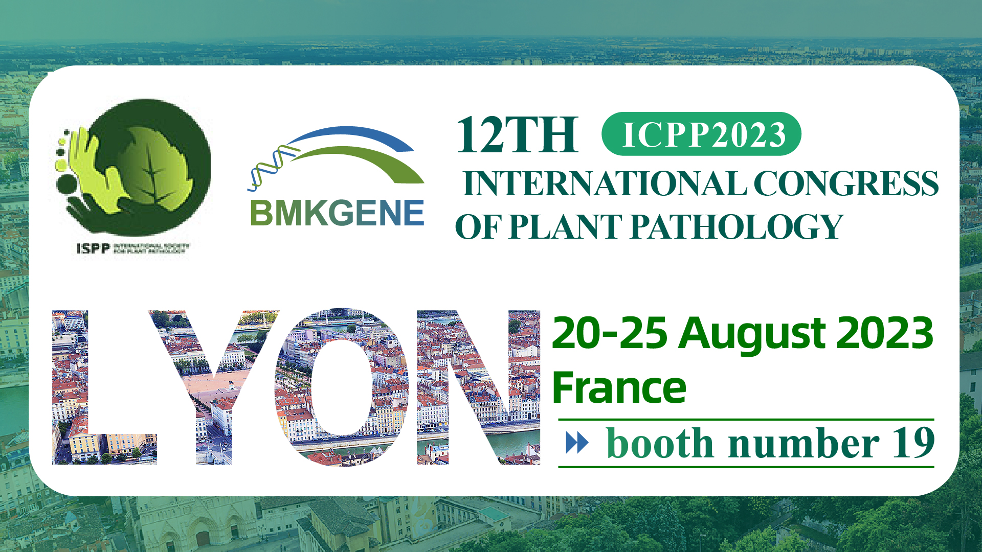 ICPP2023—12TH INTERNATIONAL CONGRESS OF PLANT PATHOLOGY