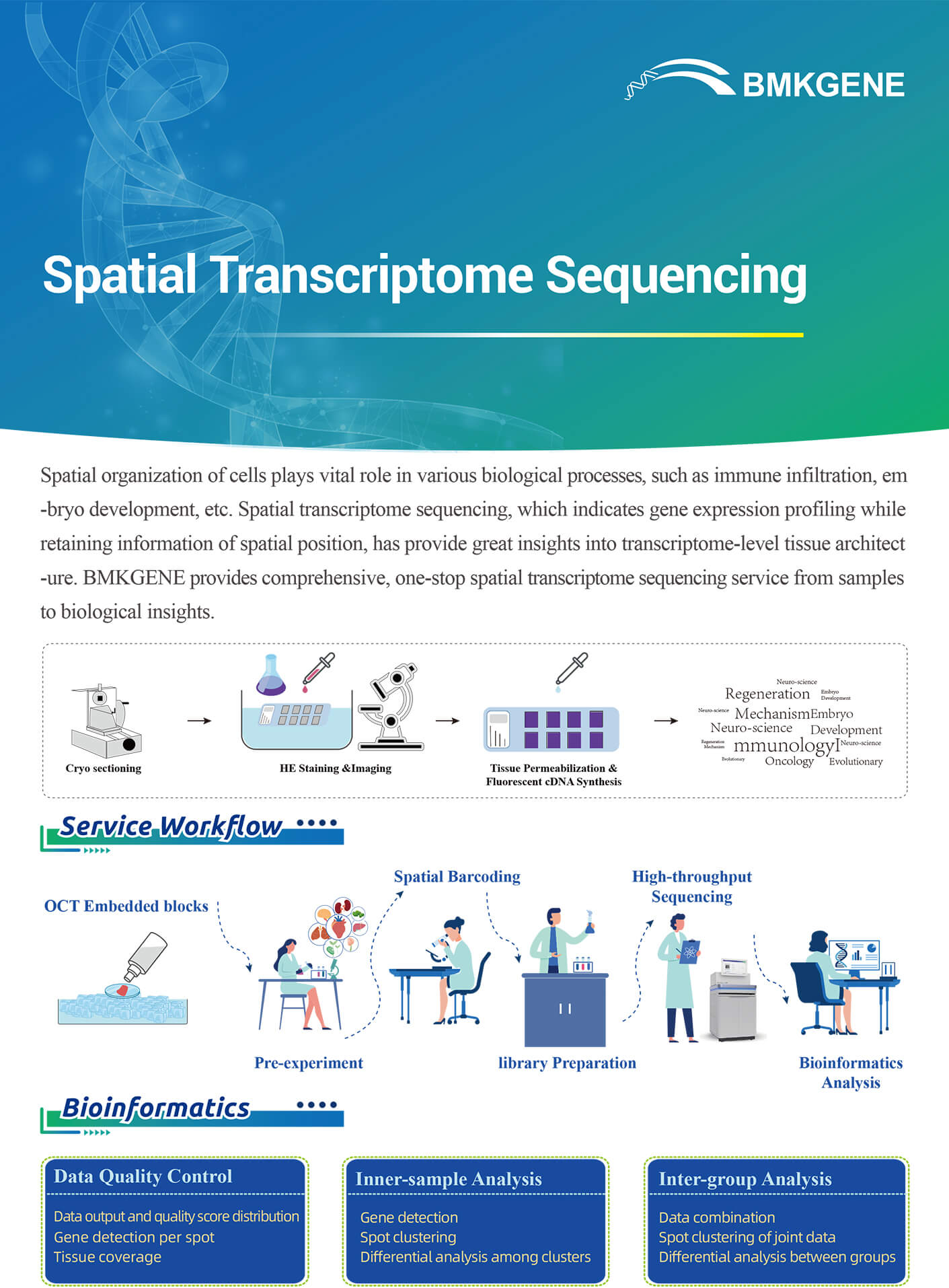 http://www.bmkgene.com/uploads/Spatial-Transcriptome-Sequencing-10X-BMKGENE-2311.pdf