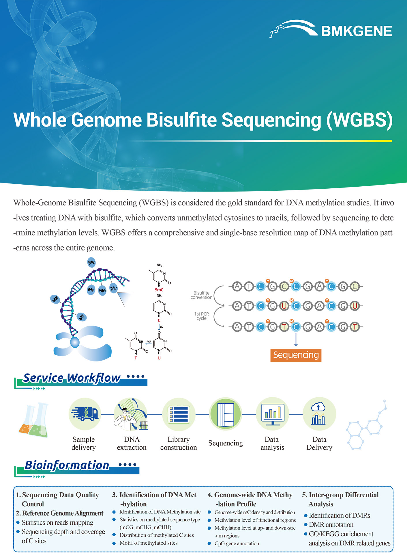 http://www.bmkgene.com/uploads/Whole-Genome-Bisulfite-Sequencing-WGBS-BMKGENE-2310.pdf