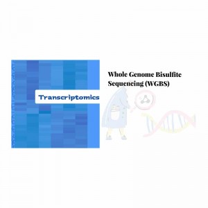 OEM Supply Pacbio Ccs -
 Whole genome bisulﬁte sequencing – Biomarker