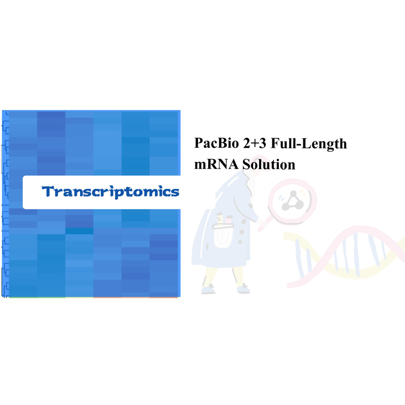 PacBio 2+3 Full-Length mRNA Solution