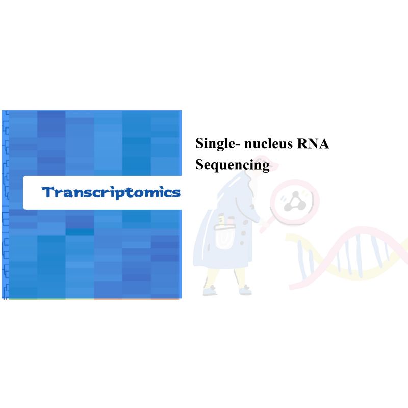 Single- nucleus RNA Sequencing