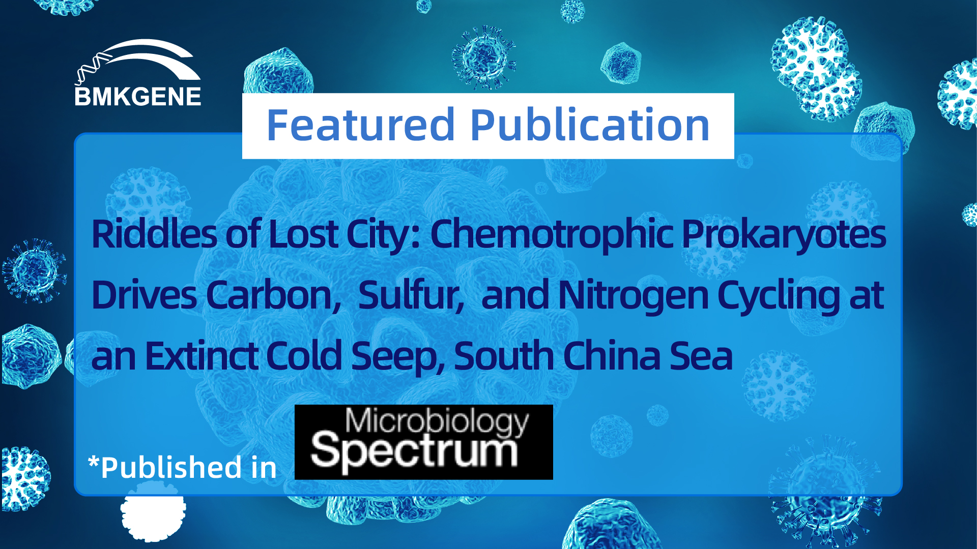 Featured Publication—Riddles of Lost City: Chemotrophic Prokaryotes Drives Carbon, Sulfur, and Nitrogen Cycling at an Extinct Cold Seep, South China Sea