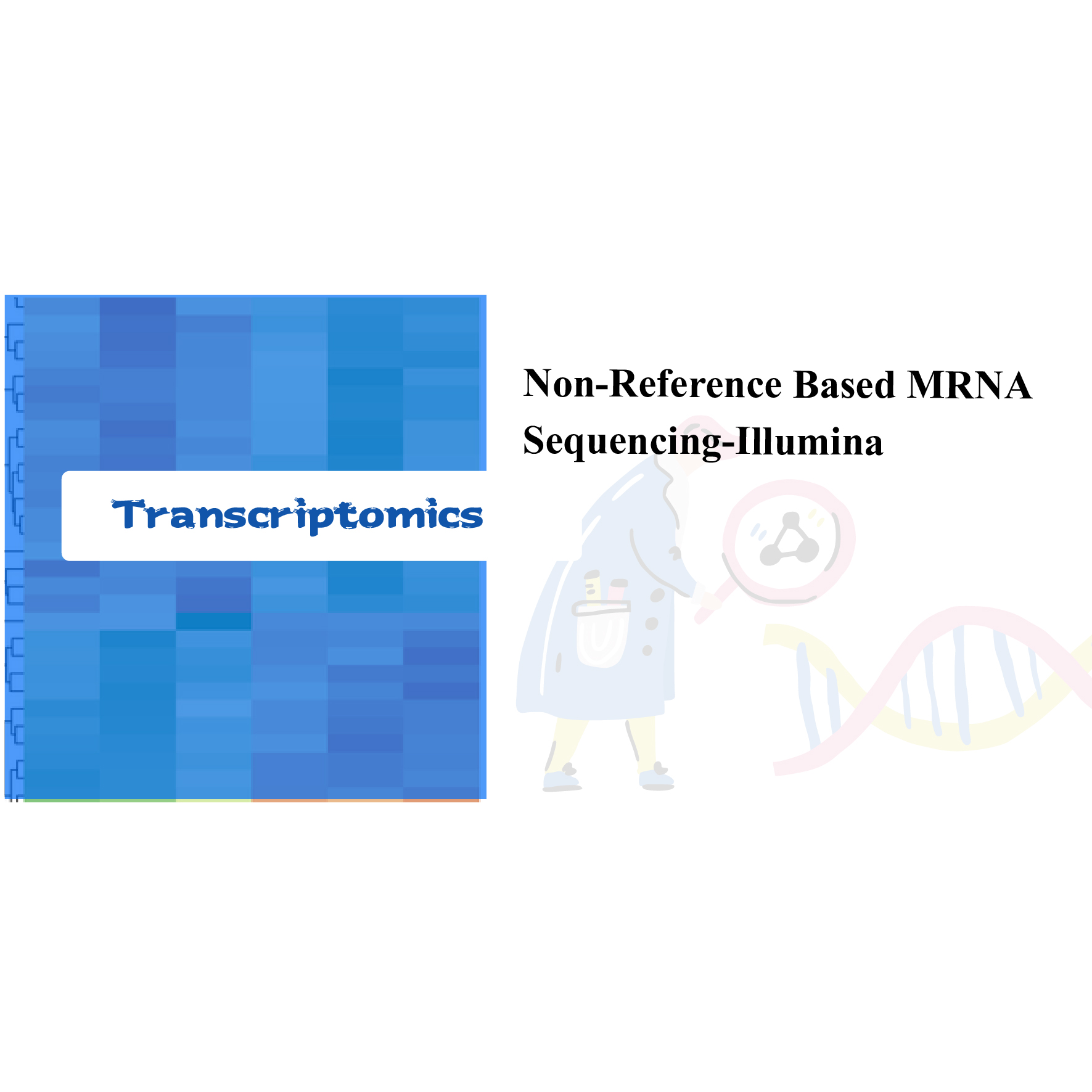 Non-Reference based mRNA Sequencing-Illumina