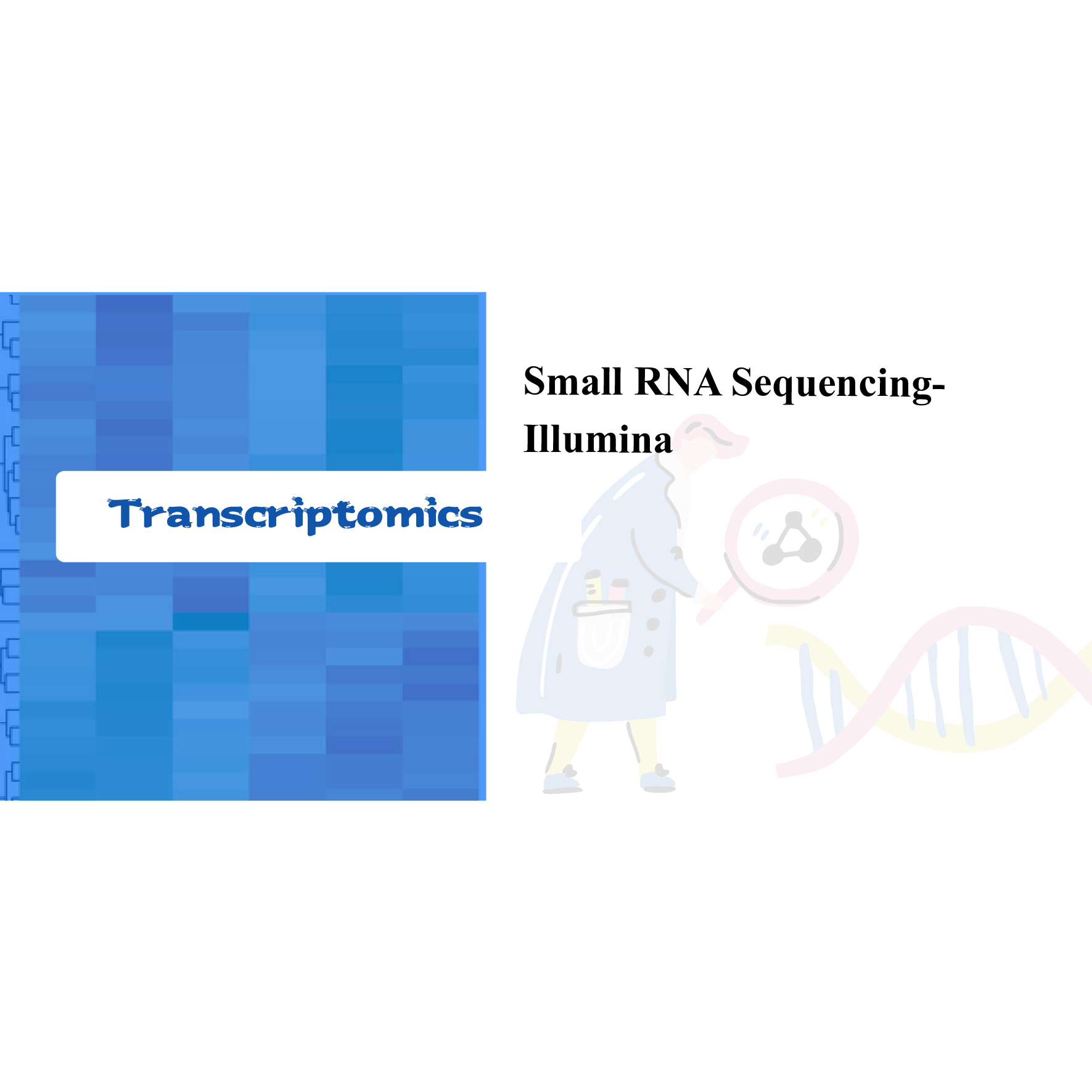 Small RNA sequencing-Illumina