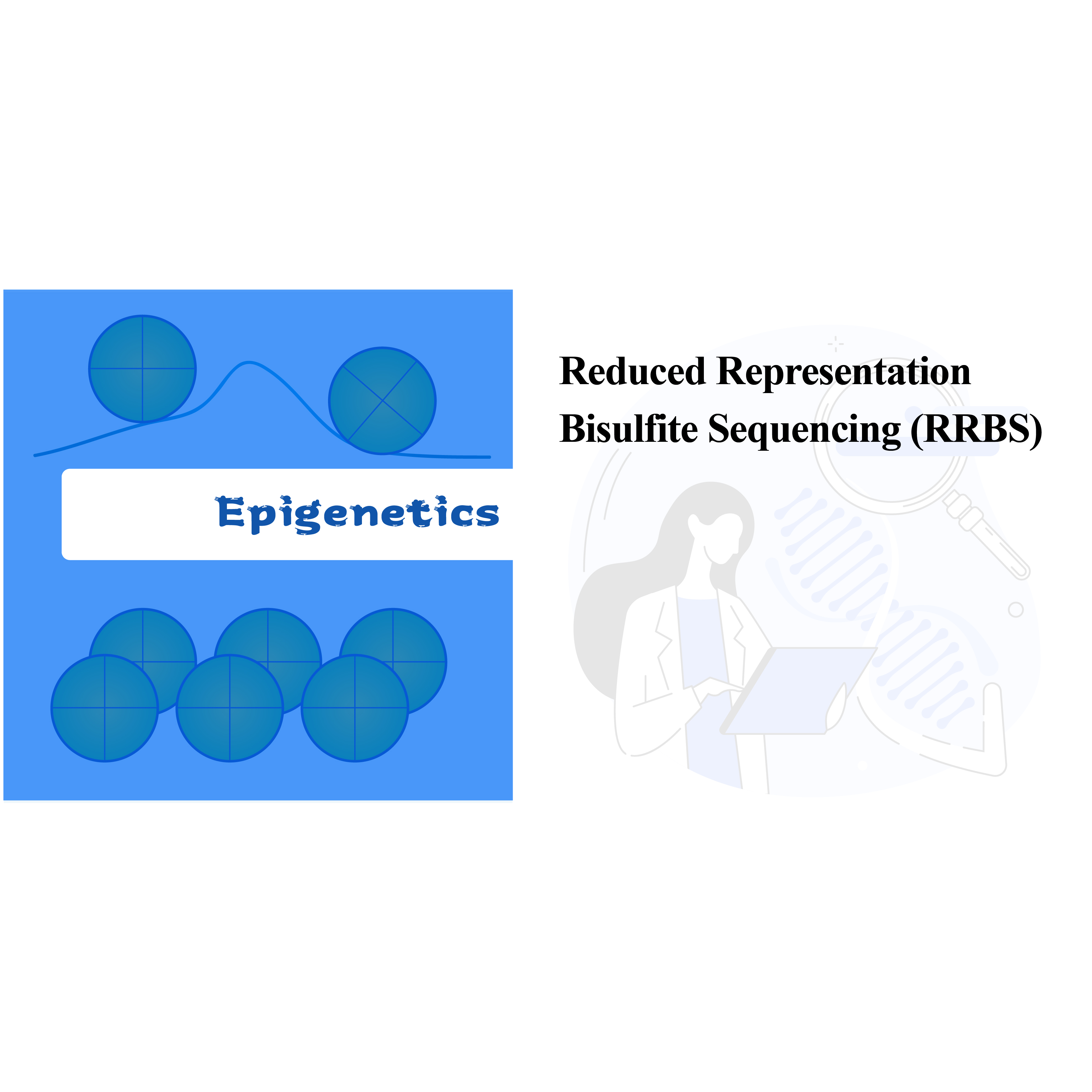 Reduced Representation Bisulfite Sequencing (RRBS)