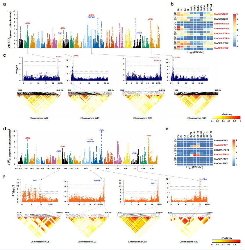 Fig4-Genome-wide-scanning-and-annotations-of-selected-regions- during-the-SSI-of-B