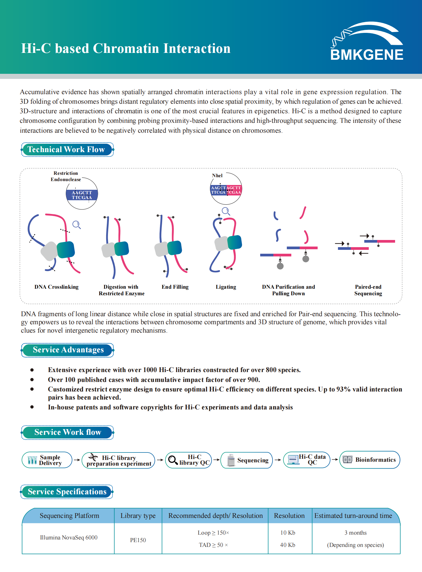 Hi-C based Chromatin Interaction--BMKGENE--2023.02_00